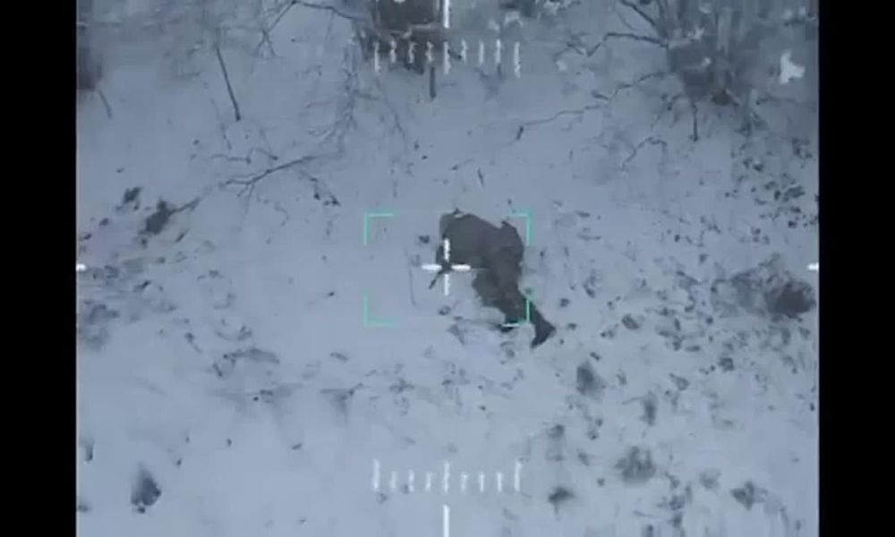 ���������� ������ ����� ���������� �� ����������� ������ ��� ����������, ����� ���� ������������� ������ ������� ���� ����� ��� ��������� ��������� ���������� ����� �����