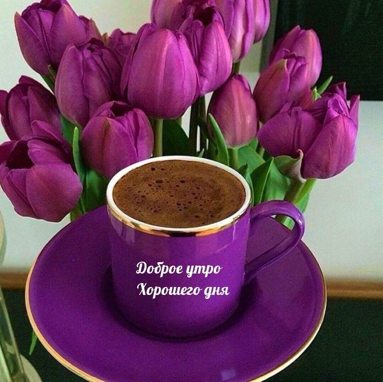 ����������� ��� ����