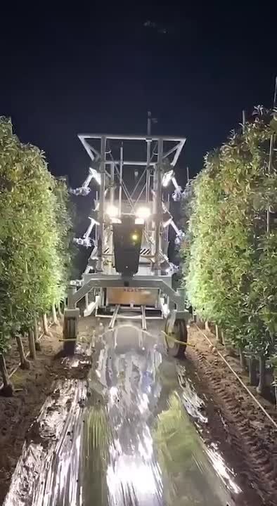 "������ ��� �������� ��� ����, ����� �������������� ����� ����� ����� ������������� � �������� ��������� ���������