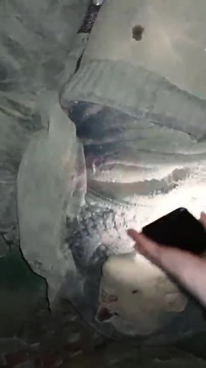 ��� ����� ������ ������� ������ ����������