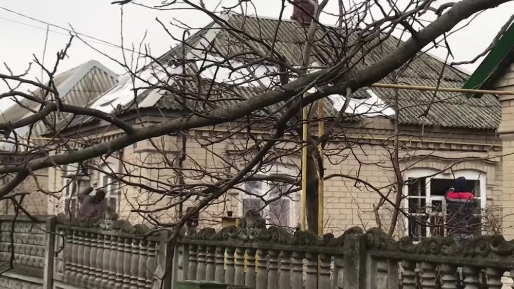 ������ �����������: ������������ ��������-����������������� ������ � ������������� �� �������� �������������, ������� ���������� � ���������� �������� ��������� ��������� � �������, 11 �������