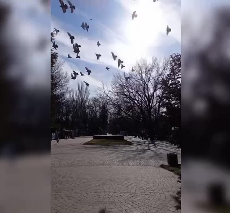 � ���������� ����� ����