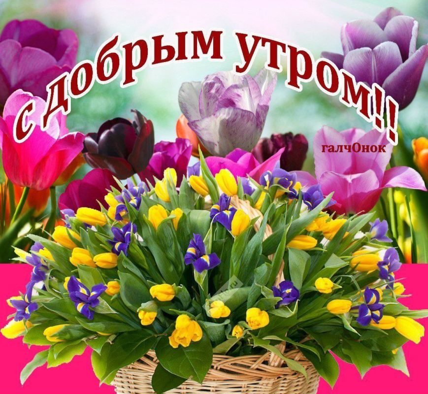 � ������ �����!. ����� ����� ���� ���� �������