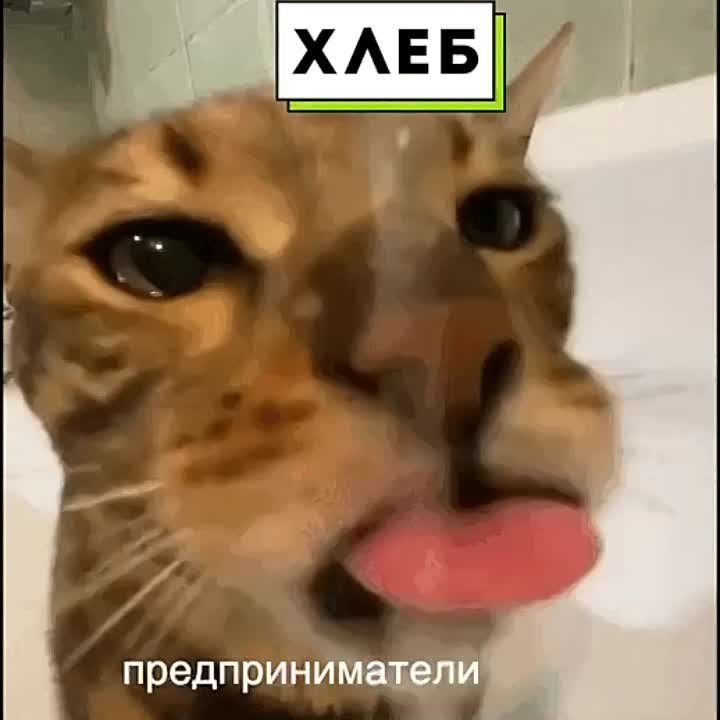 ����� "����" - ��� ������ ���� ����� ����������