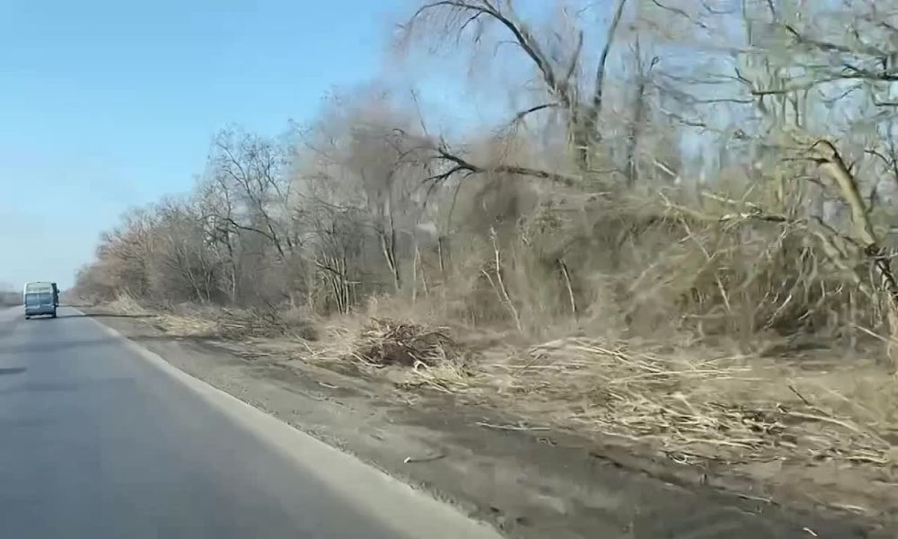 �� ������ �������-���������� ������� ���������������� ������ �� ���������� ��������� �������