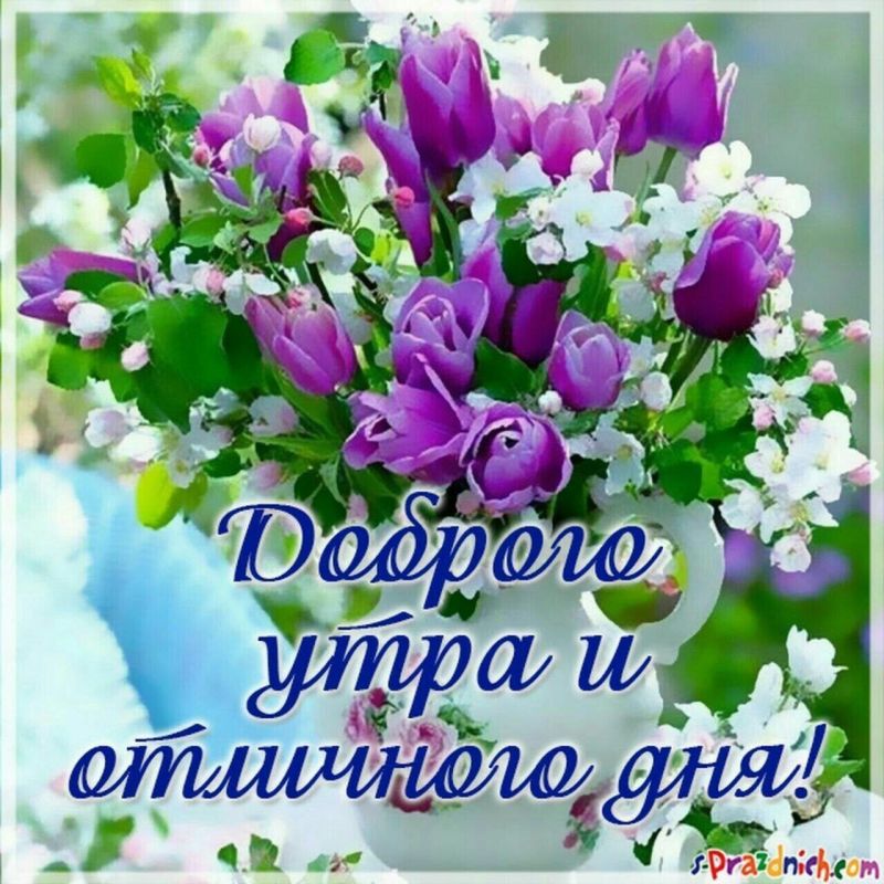 � ������ �����!