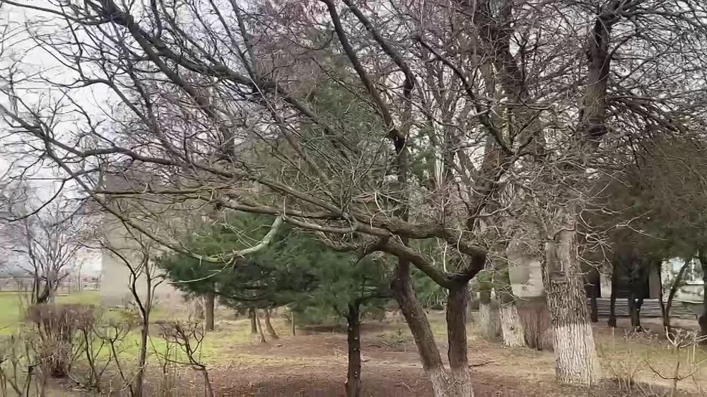 ������� ������ �� 9 �����