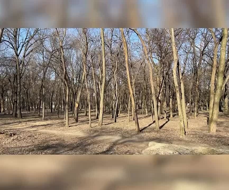 � ���������� ���������� ����