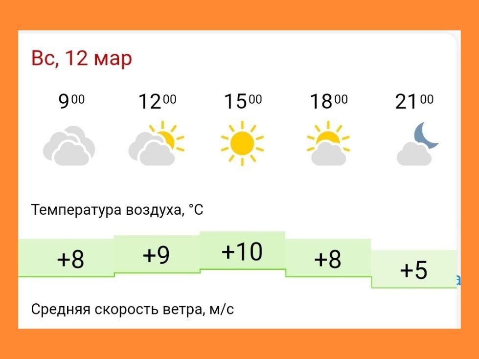 ������� ������ �� 12 �����