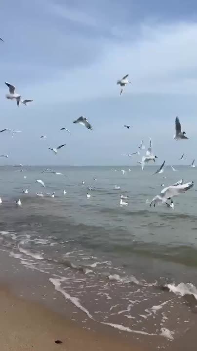 ���� ������� �� ������ ��������� ����� ���������� ���� ��� �������� ����