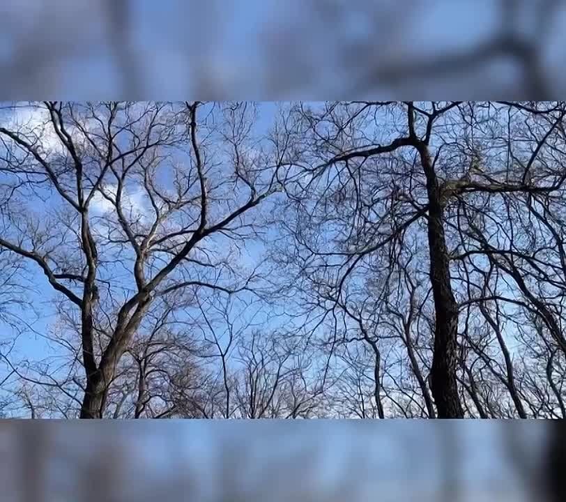 � ���������� ����� �������� ����