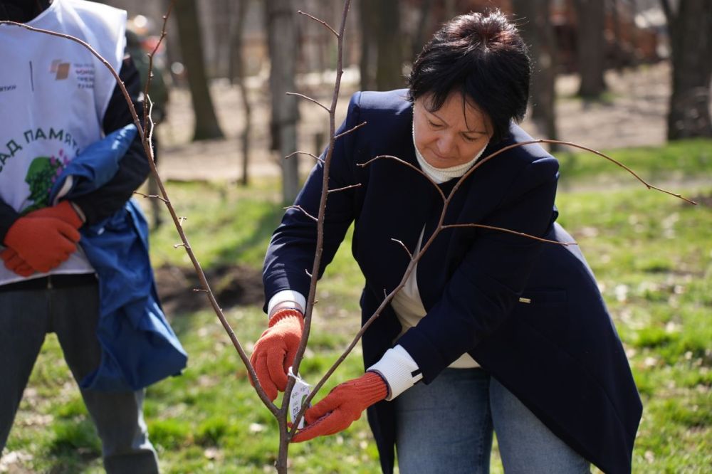 ������ �����������: ������� � ����������, � ����� ����� �������� �������� ������� ������� �������� � ������ ������������� ����� ���� ������