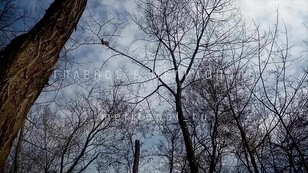 � �������������� ����� �������� �������
