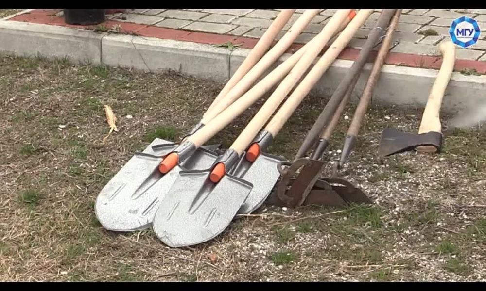 ������� "�����" ������������ ��������� "�������" �� ����� � ������������� ������� �������� ������� ������� �� ������������� ����� ���� ������