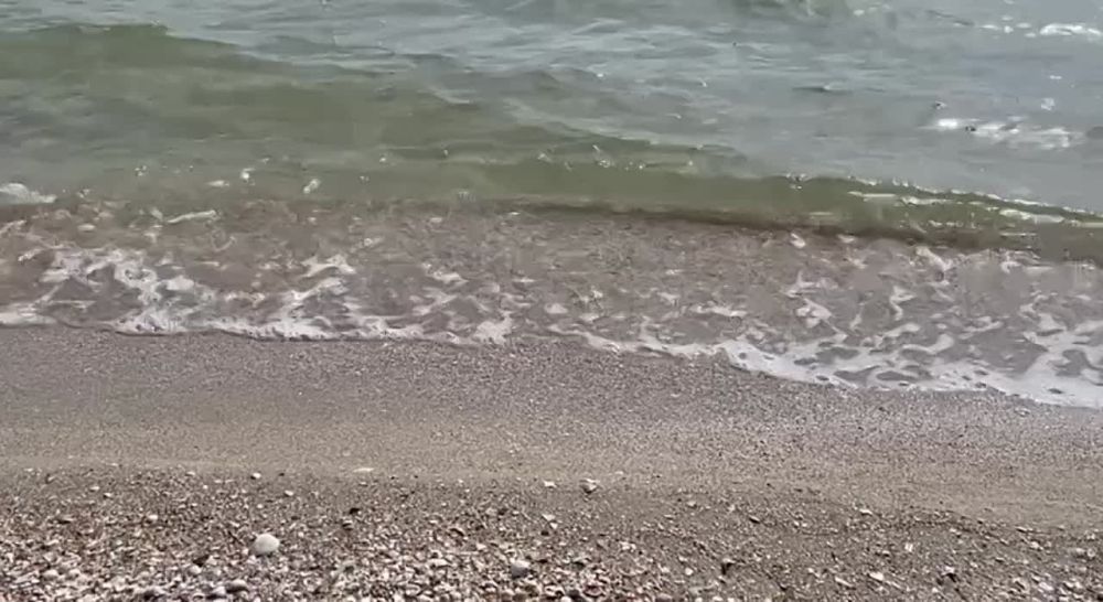����� �������� ������ ����� � ����������