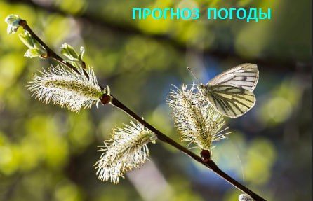 �� ��������� ����������, ������� ��� ������� ��������� � �� ��-��������� �������� ����