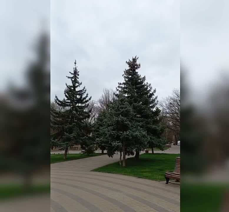 � ���������� ����� �������� ����