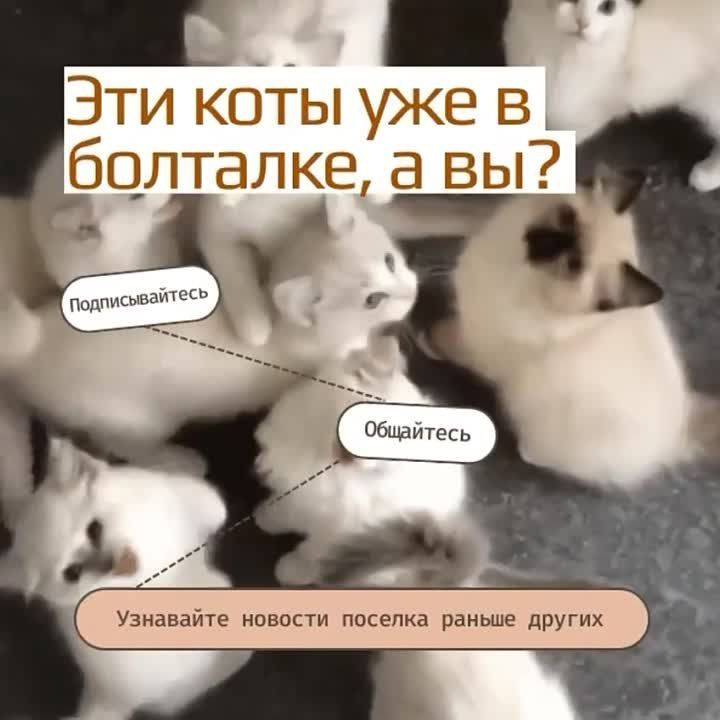 ��������� | ���� ���������� | ������ ������� ������� �� ������ ��� | ����������, ��� ������ ������ � � ��� ������� ����������