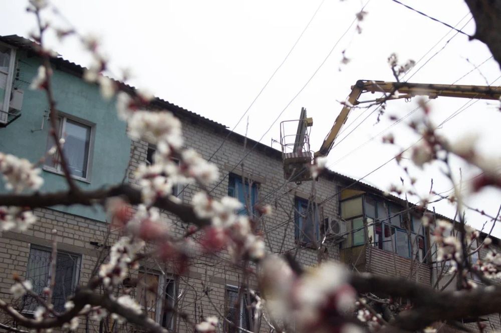 ������������� ���������� ��������� ����������� �������� ���������� �� ������� ���