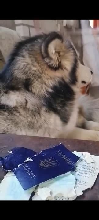 - �� ����� ������� ������?.