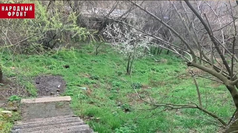 � ���� ��� ������ �������� ��������� ��� ������������ � ������ ����� � ����������