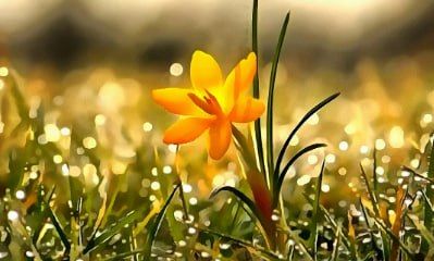 ������� ������ ��������������, ���������� � �����������, � ������ ����� � � ������� ������ ���! ����� �� ������� ������������!