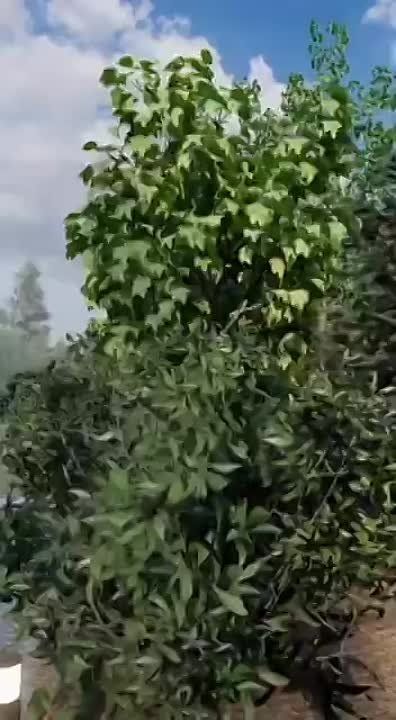��� ����� �� ������������ � ������� �� �������? ������ ��� �� ������