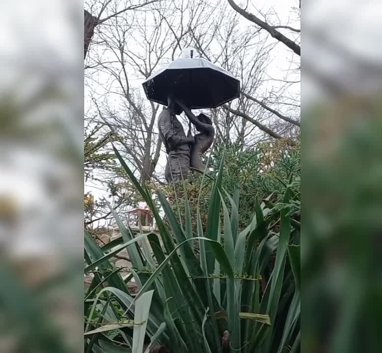 � ���������� ����� ��������� ����