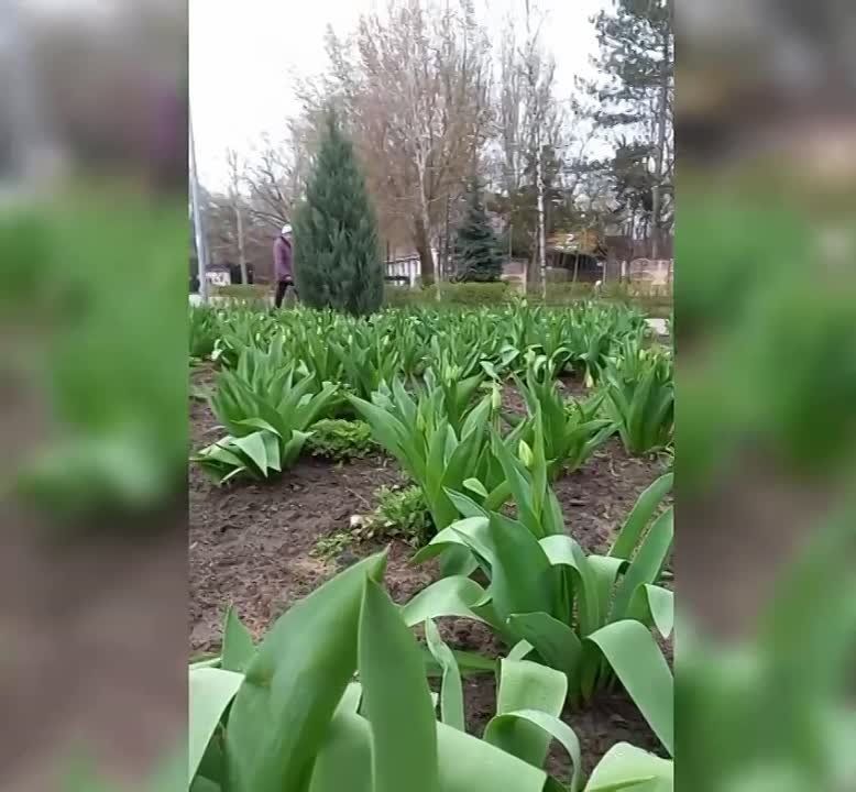 � ���������� �������� �����������