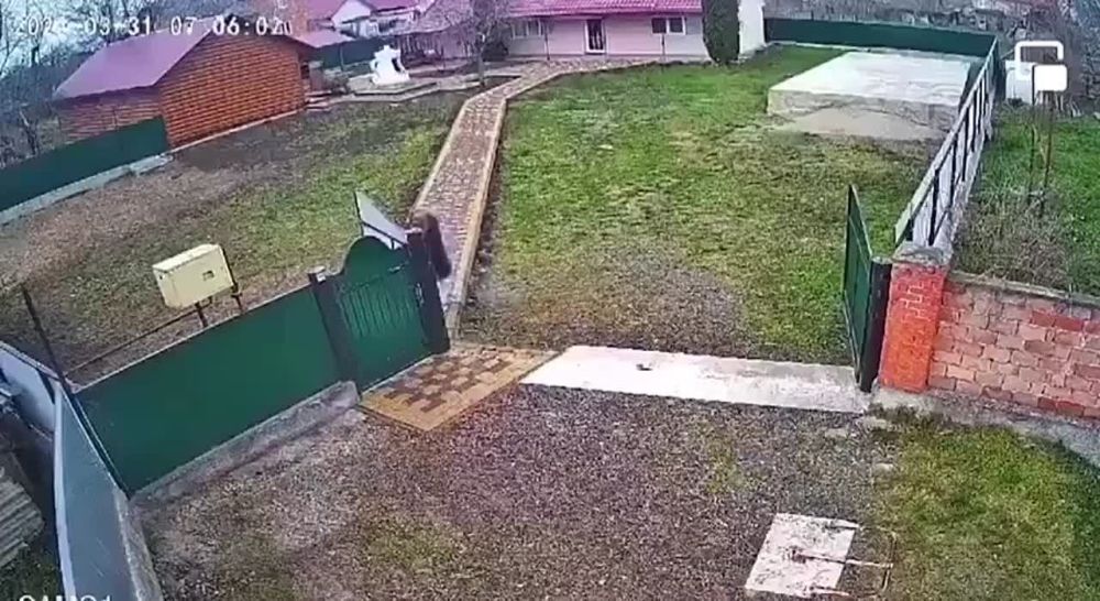� ��������� ������������ ����������� � � ��� ������� ���������� ��������� ������������� ����������