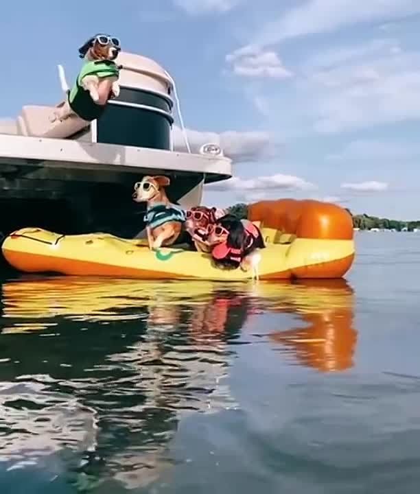 ����� ��������� ������ ��������� ����� ������