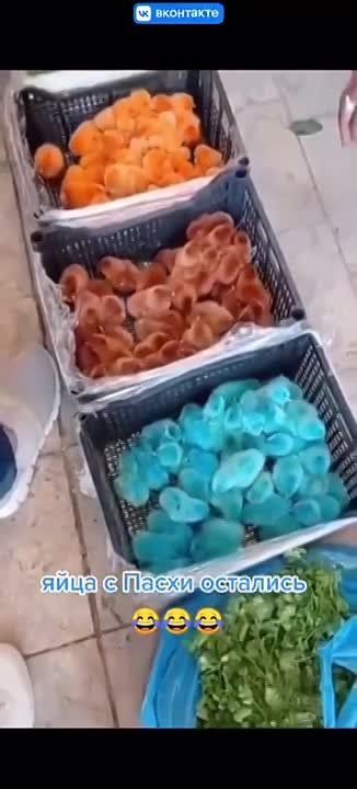 ��� �������� ���� �������?