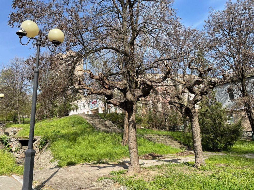 ������ ����� ���������� � ������� ���������� ��������� � � ����� ��������� ���������� ����������