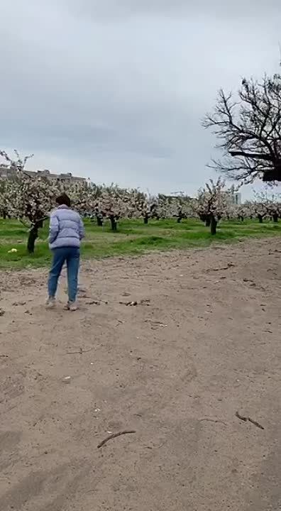 ���������� - ������� �������