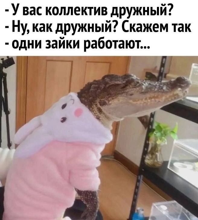 � ������� ����, ��������)