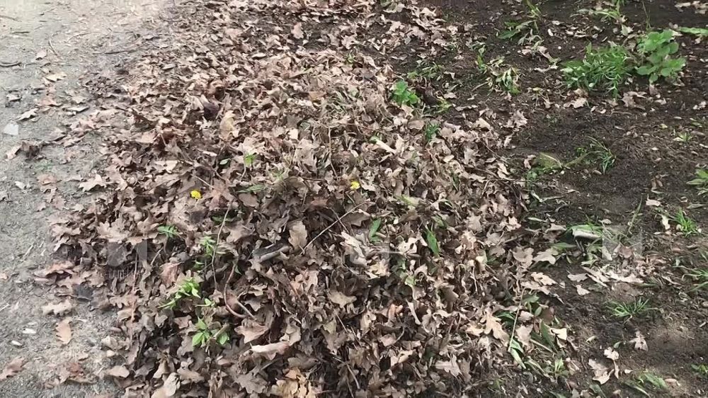 � ������ �������������� ���������� � ���������� ������ ������ ���������� ����� �����������������