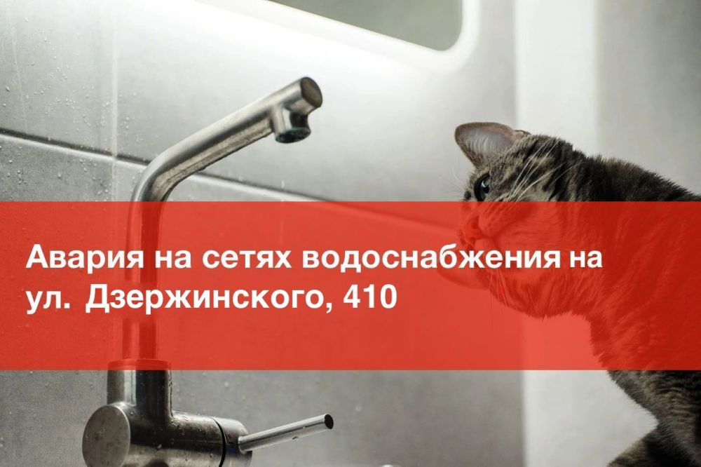 �� ��. ������������, 410 ����� �����������