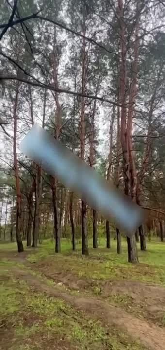 ������� ������������, ��� ������� �� ����� � ����� ���� ������� �������