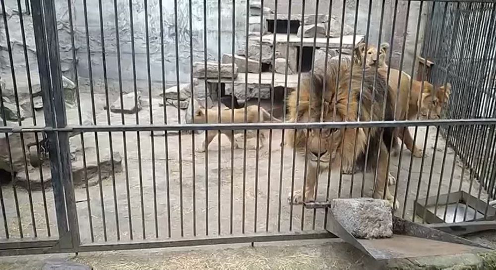 � ���� ������ � ������� ���� ������� �������� � ���-�� ����� ������ � �������