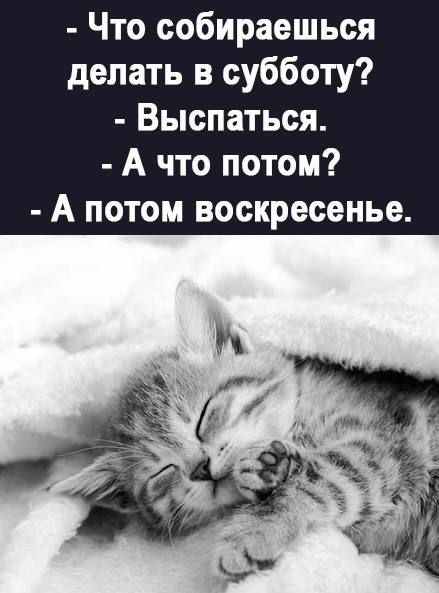 � ������������