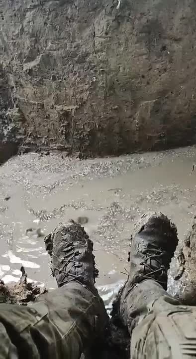 ������� �� �������. ��� �������� ����� ������ ��� �� ����������� �����������