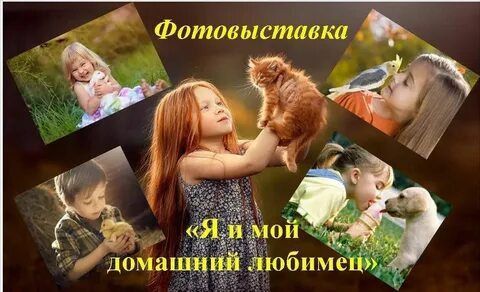 � ��� �� "������������ ������� ������������������� ����� �28" ��������������� ������ ���� ������������ ������������ ���� �������� ��������
