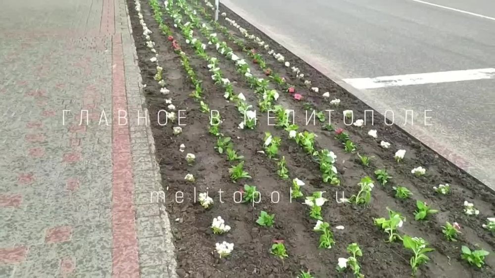 ����� ���������� �������� �������