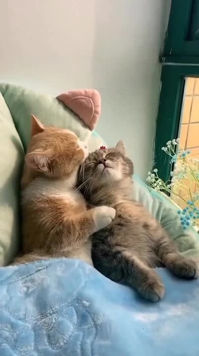���������. ������ ��, ����� ��� ��� ������ �� �������� ������