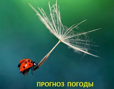 ��������� ��������, ��� ����������� ���� ����� ��������� � ��������