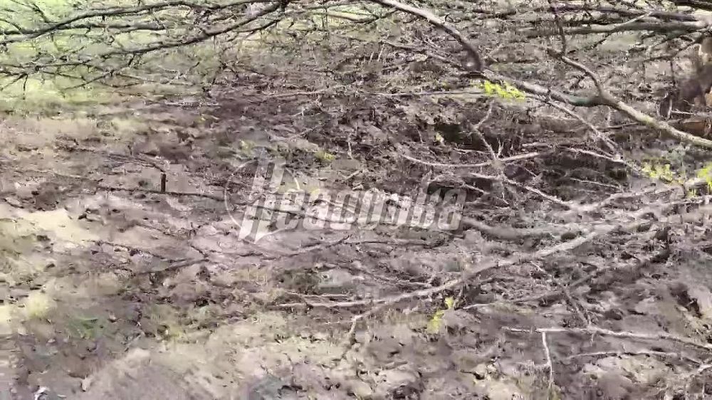 ��� ���������� ������ � � ���������� ���� � ���������� ������� ������� ������ � ����������� ����
