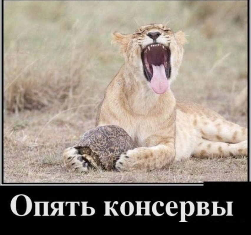 ���� ����������