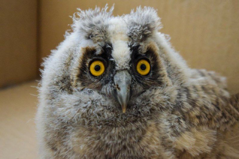 ���� ����� ����� �������� ��������������� ���������������