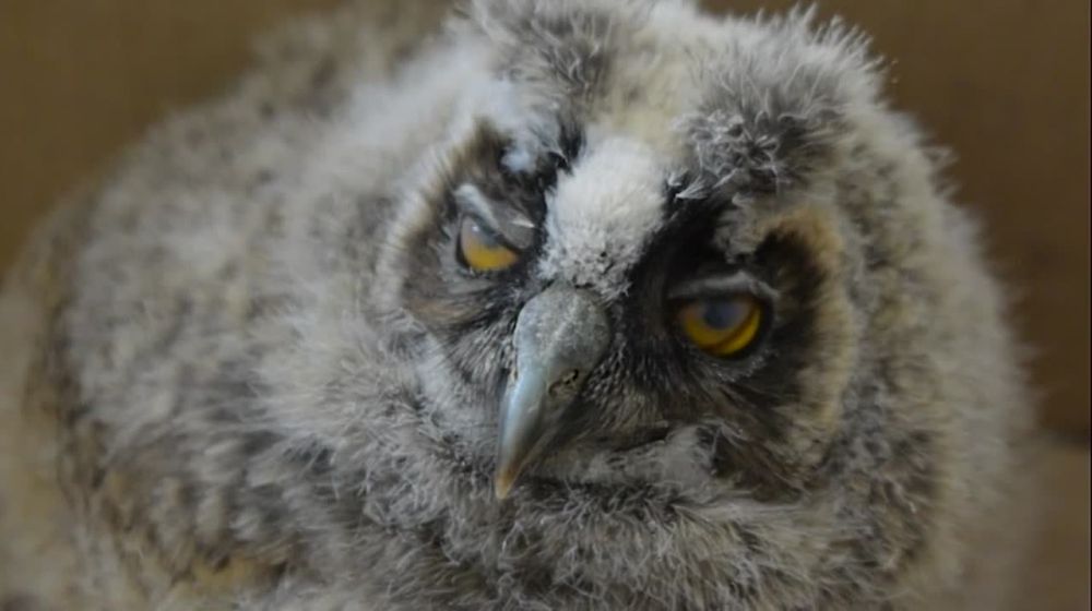 � ��������������� ��������������� �������� ����� ����� �������� - ����!