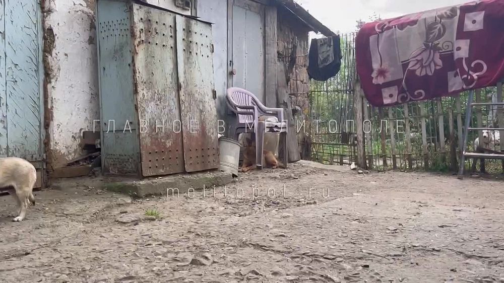 ������ � ���������� � ������� ���������� ����������, ��� ��� �������� ��������� ��������